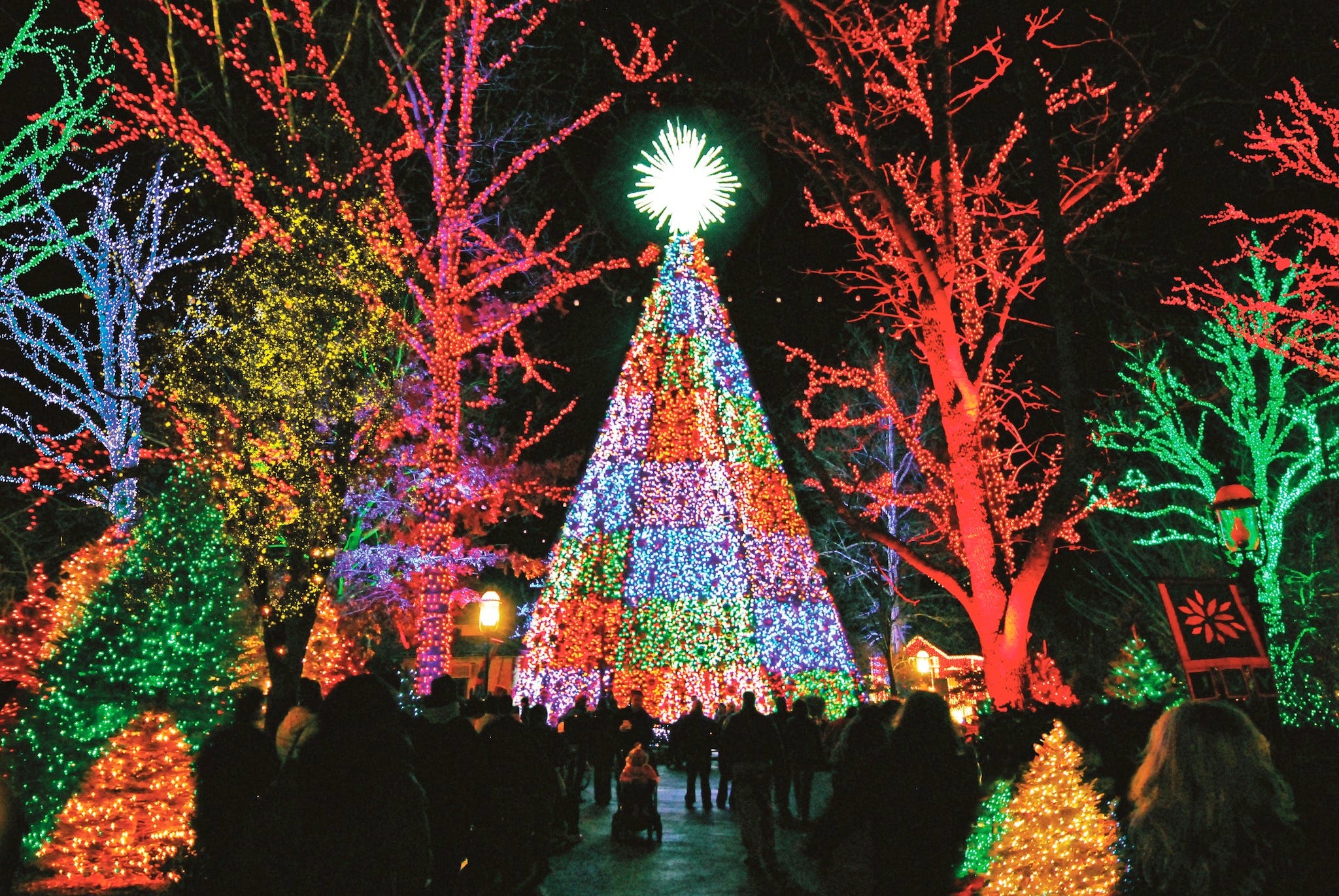 holiday lights